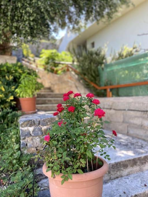 Villa Kamari-Cretan Style Apartment Kritsa Exterior photo